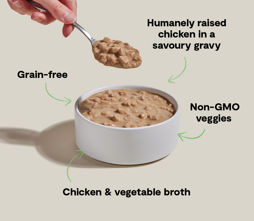 Morsels in Gravy for Cats