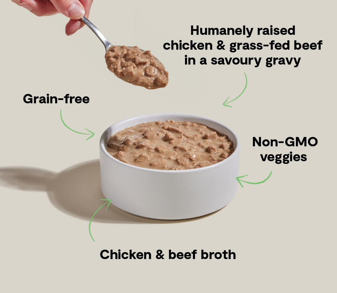 Morsels in Gravy for Cats
