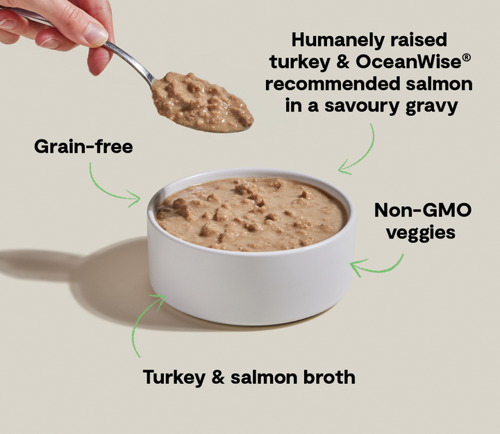 Morsels in Gravy for Cats