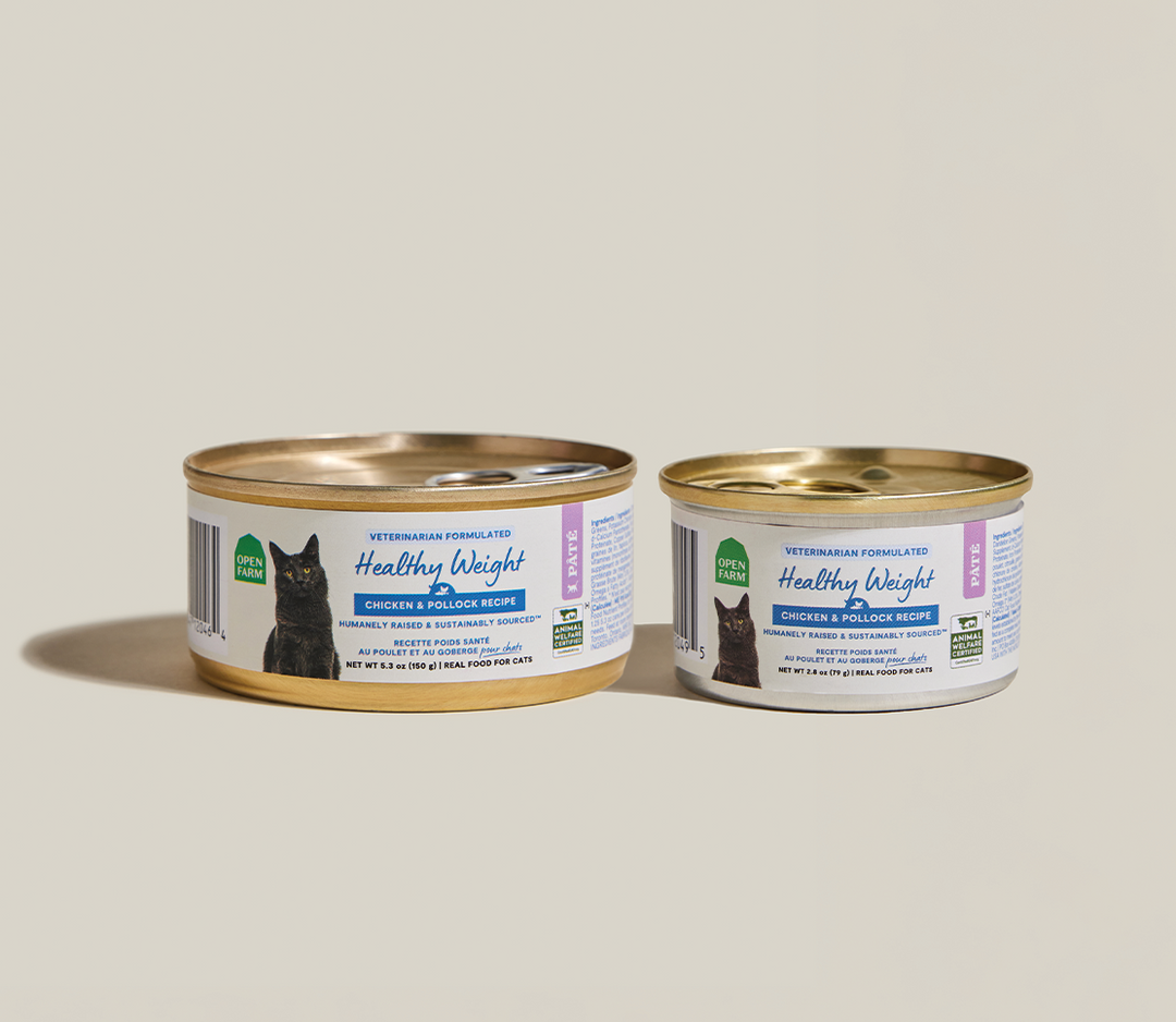 Tailored Needs Pâté for Cats