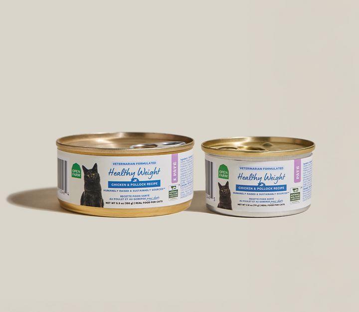 Tailored Needs Pâté for Cats