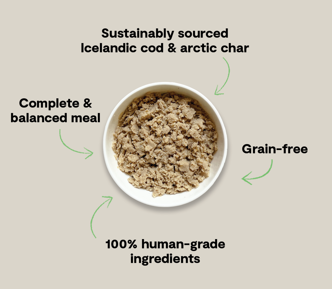 Silky Mousse Wet Food for Dogs