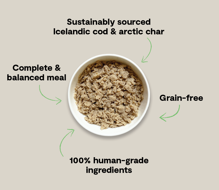 Silky Mousse Wet Food for Dogs