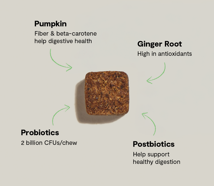 Probiotic Supplement Chews for Dogs (90 ct)
