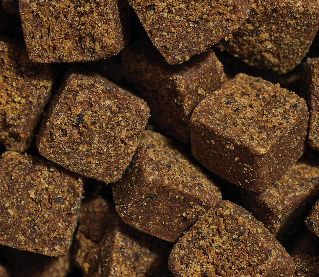 Probiotic Supplement Chews for Dogs (90 ct)