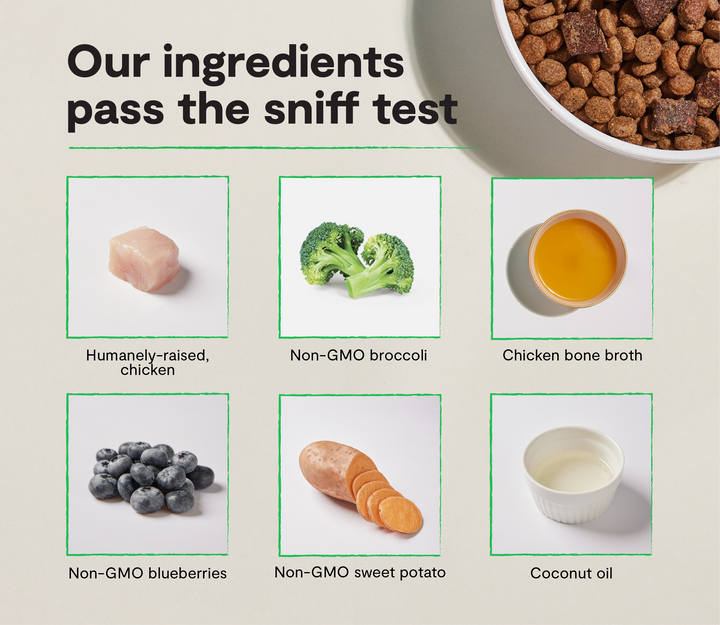 Epic Blend Grain-Free Dry Dog Food