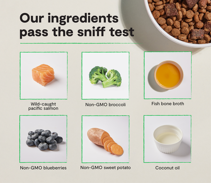 Epic Blend Grain-Free Dry Dog Food