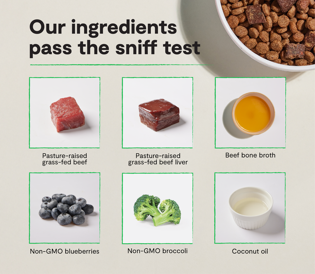 Epic Blend Grain-Free Dry Dog Food