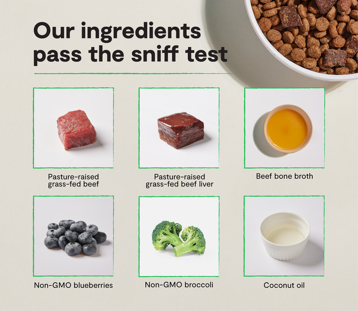 Epic Blend Grain-Free Dry Dog Food
