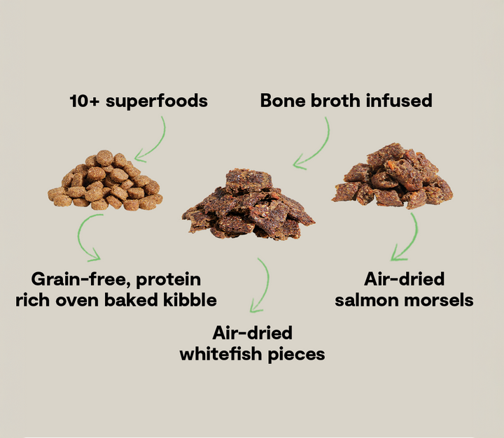 Epic Blend Grain-Free Dry Dog Food