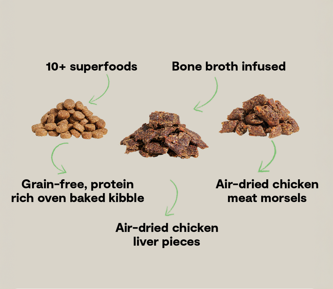 Epic Blend Grain-Free Dry Dog Food