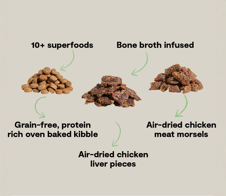 Epic Blend Grain-Free Dry Dog Food