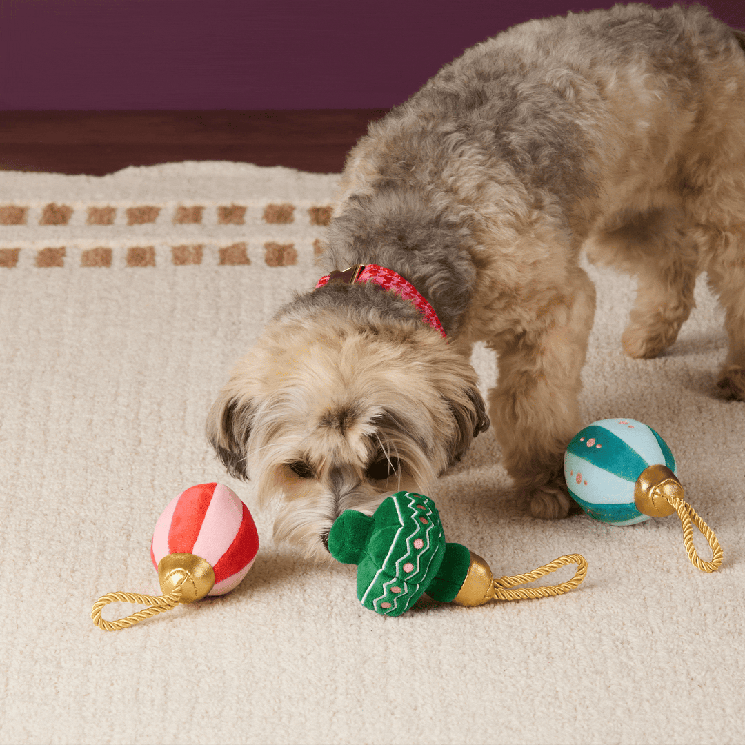 Christmas Ornament Boxed Dog Toy Set
