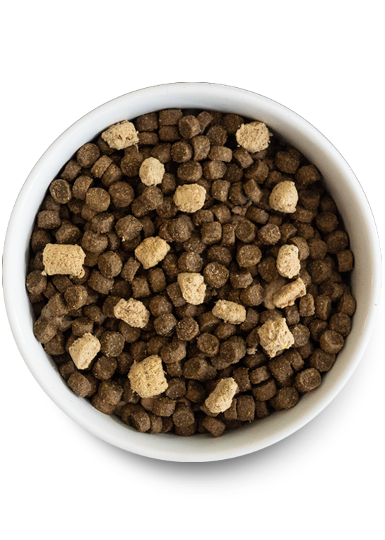 Wild Ocean Grain-Free RawMix for Dogs