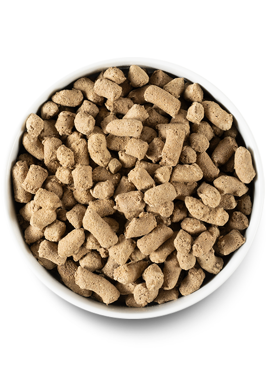 Grain-Free Surf & Turf Freeze-Dried Raw Recipe for Dogs (Meal or Mixer, 22 oz)
