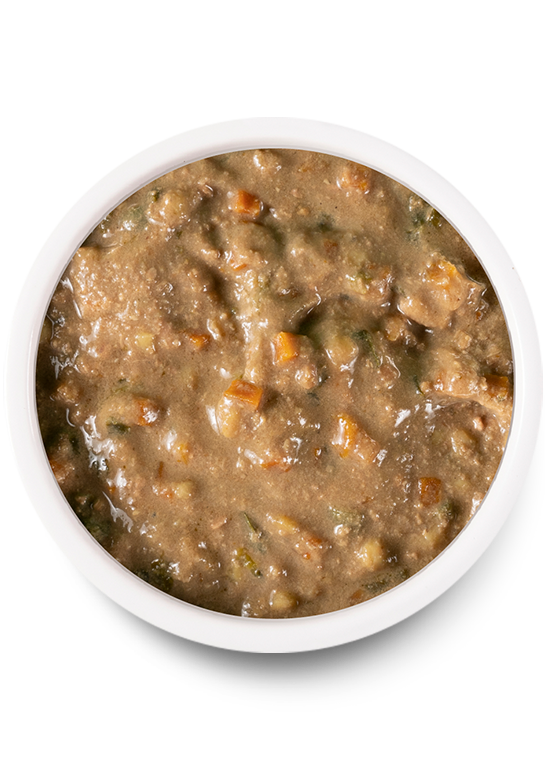 Chicken & Salmon Rustic Stew Wet Dog Food (12.5 oz)