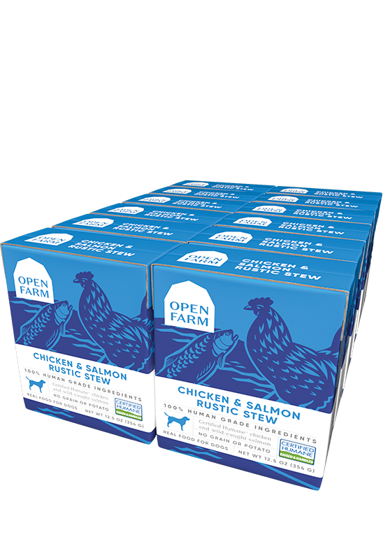 Chicken & Salmon Rustic Stew Wet Dog Food (12.5 oz)