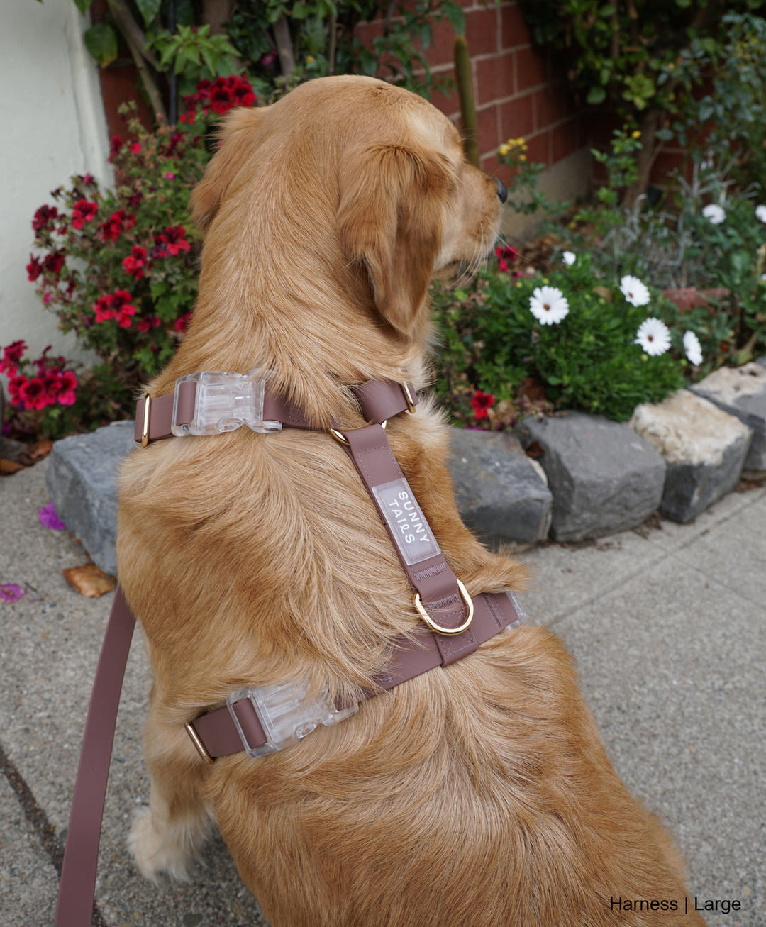 Cloud Lite Harness