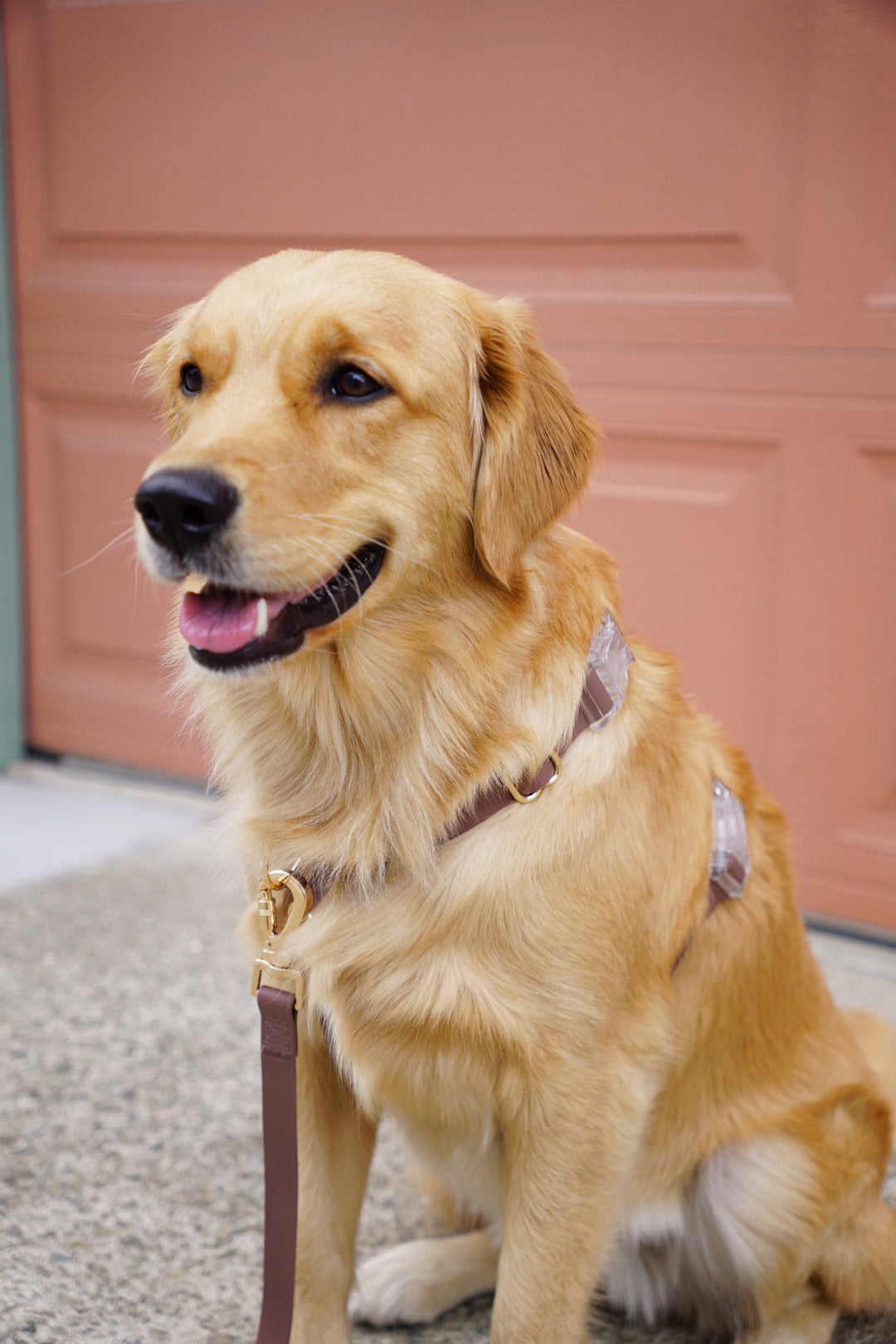 Cloud Lite Harness