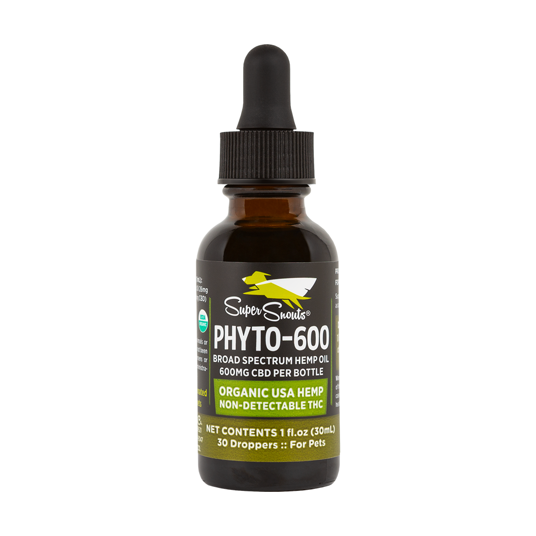 Phyto - CBD Hemp Oil Tincture