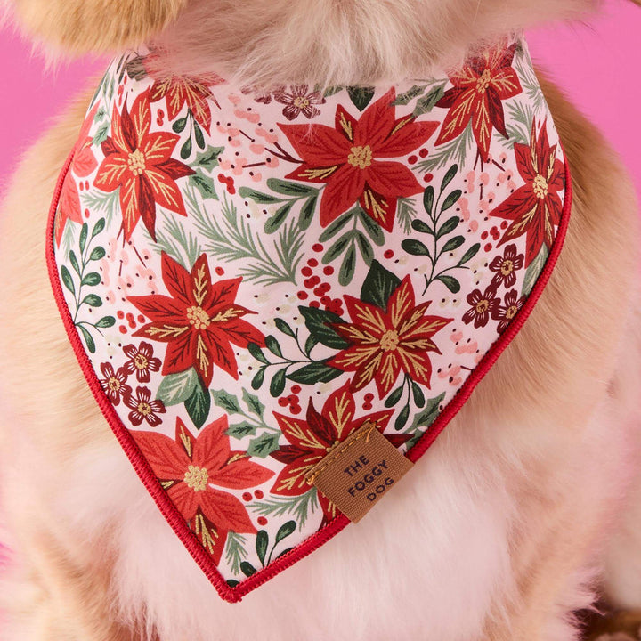 Poinsettia Dog Bandana