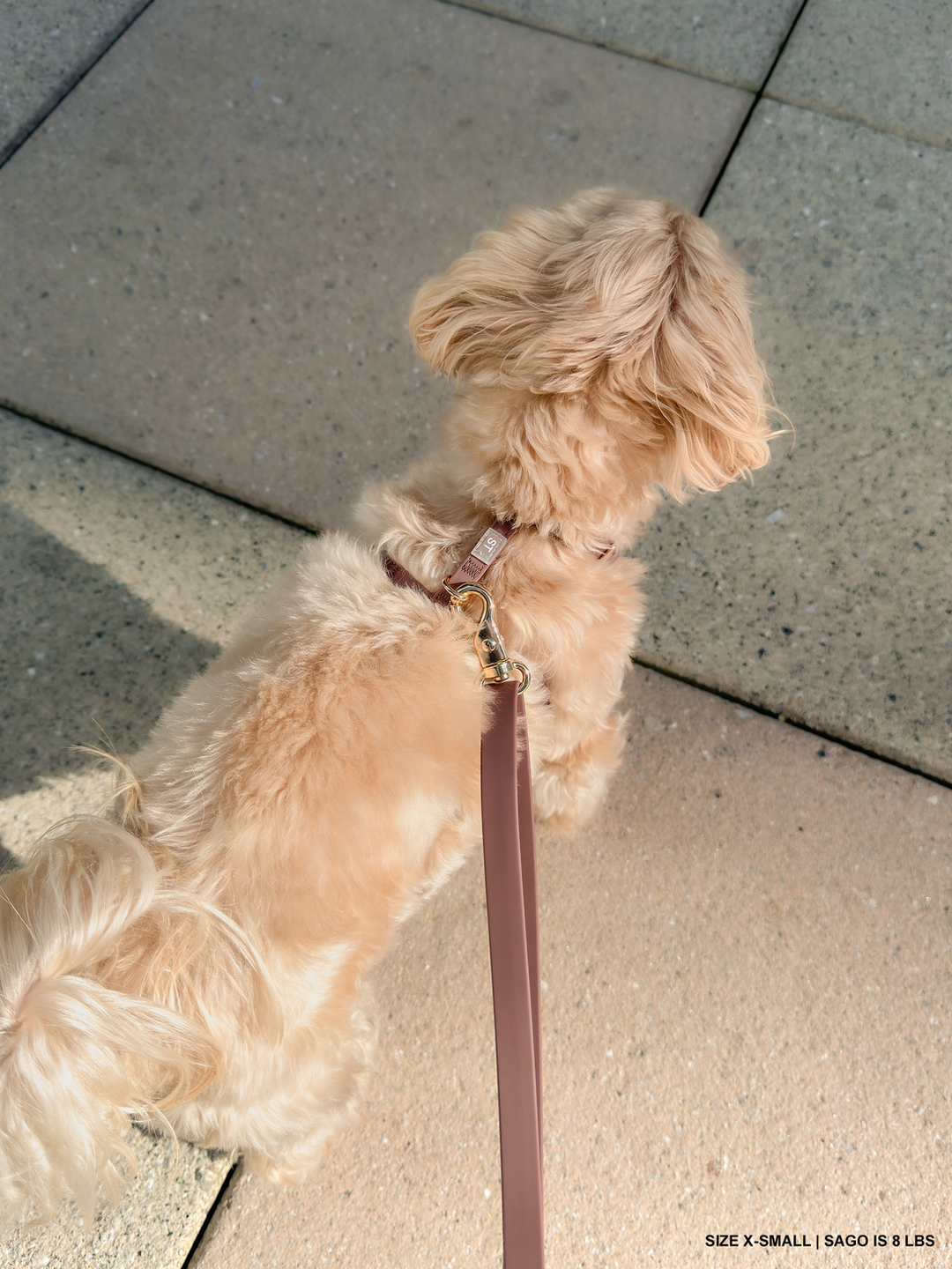 Cloud Lite Harness