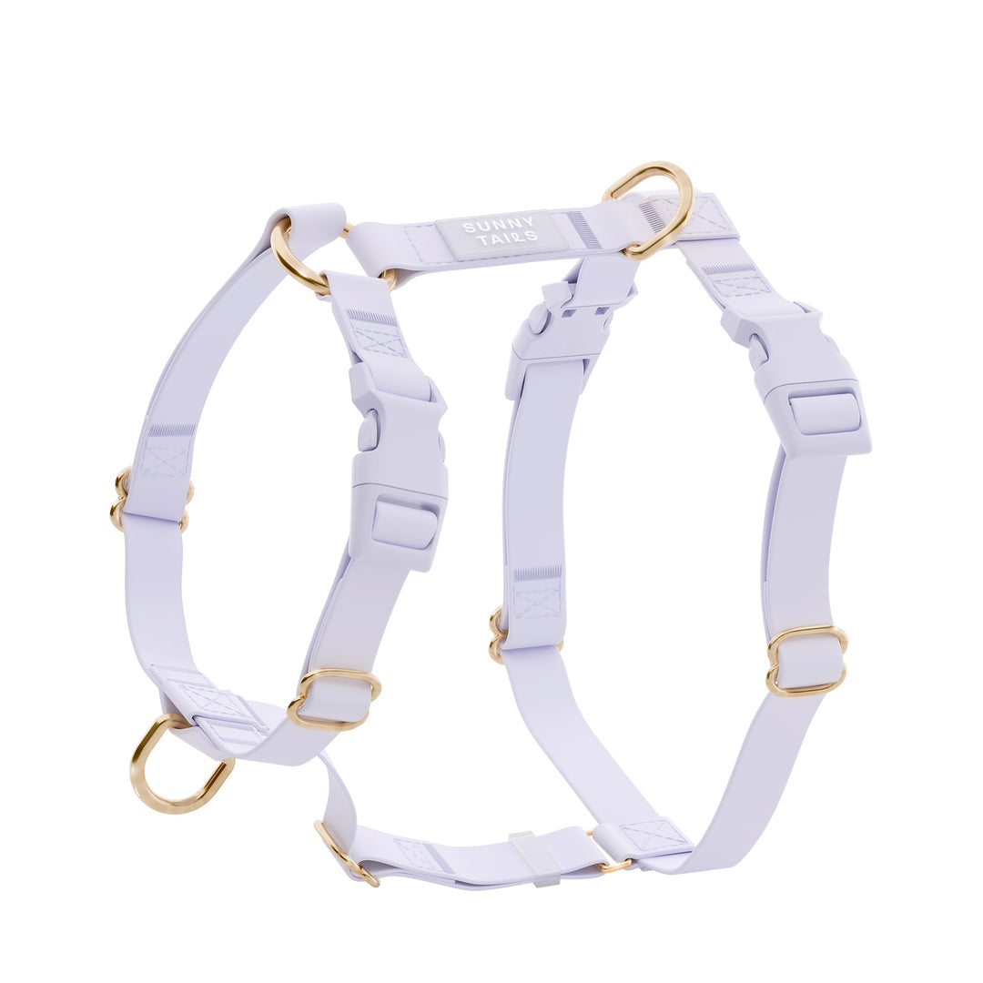 Cloud Lite Harness