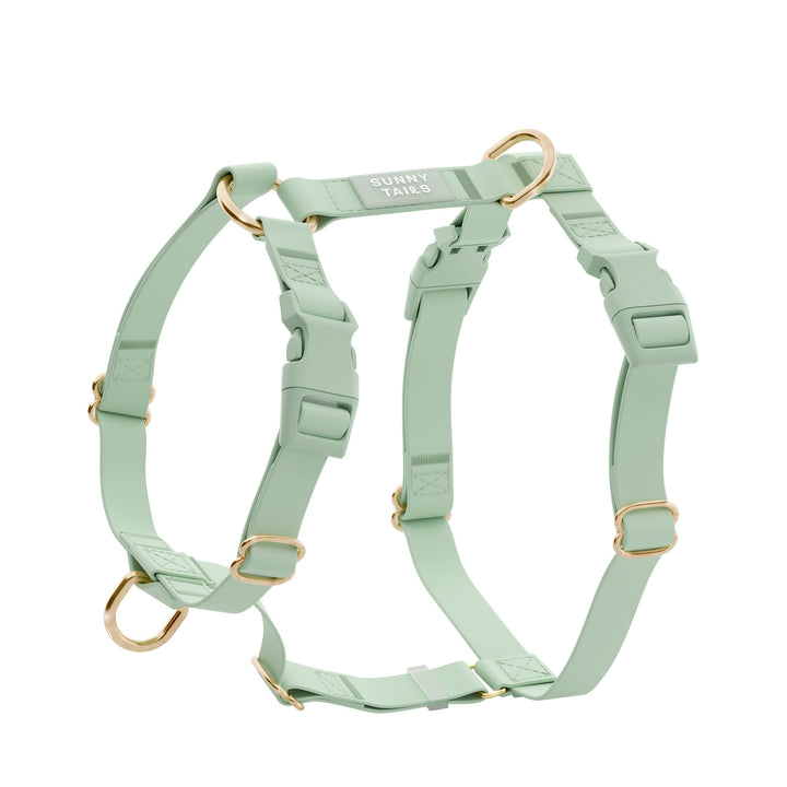 Cloud Lite Harness