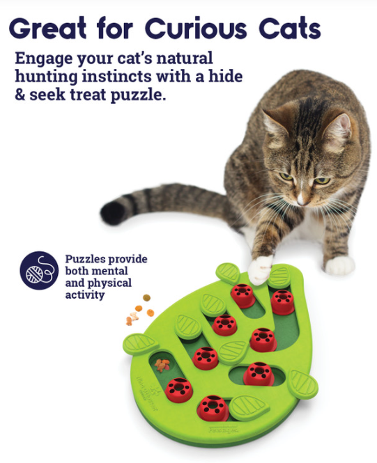 Catstages Buggin' Out Puzzle & Play - Interactive Cat Treat Puzzle