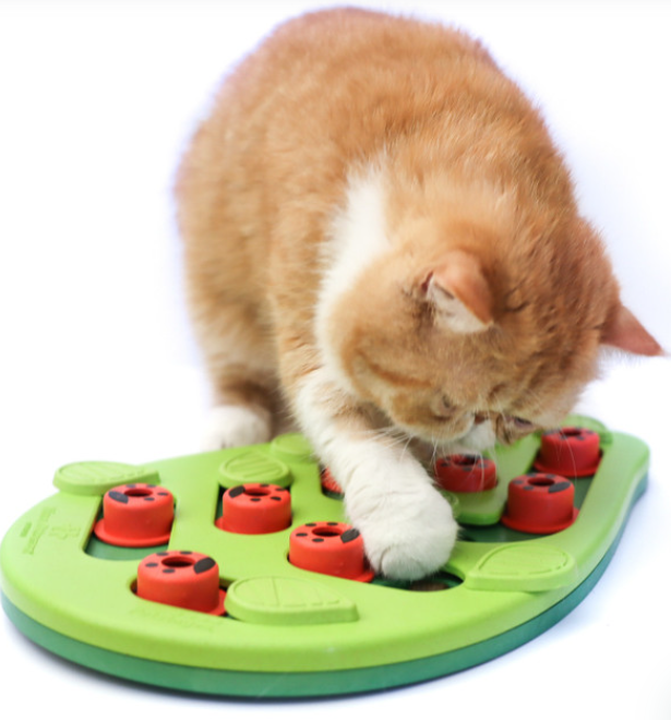 Catstages Buggin' Out Puzzle & Play - Interactive Cat Treat Puzzle