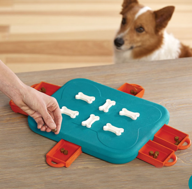 Dog Casino Interactive Treat Puzzle Dog Toy