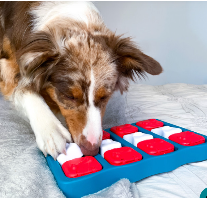 Dog Brick Interactive Treat Puzzle Dog Toy