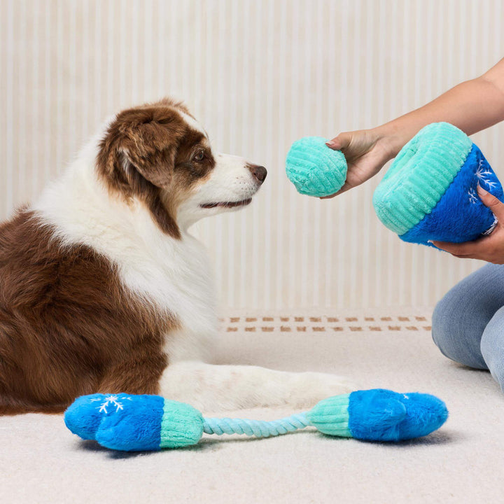 Snow Much Fun Interactive Snuffle Dog Toy Set