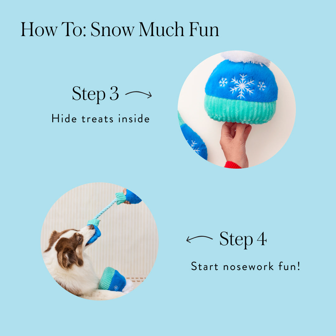 Snow Much Fun Interactive Snuffle Dog Toy Set