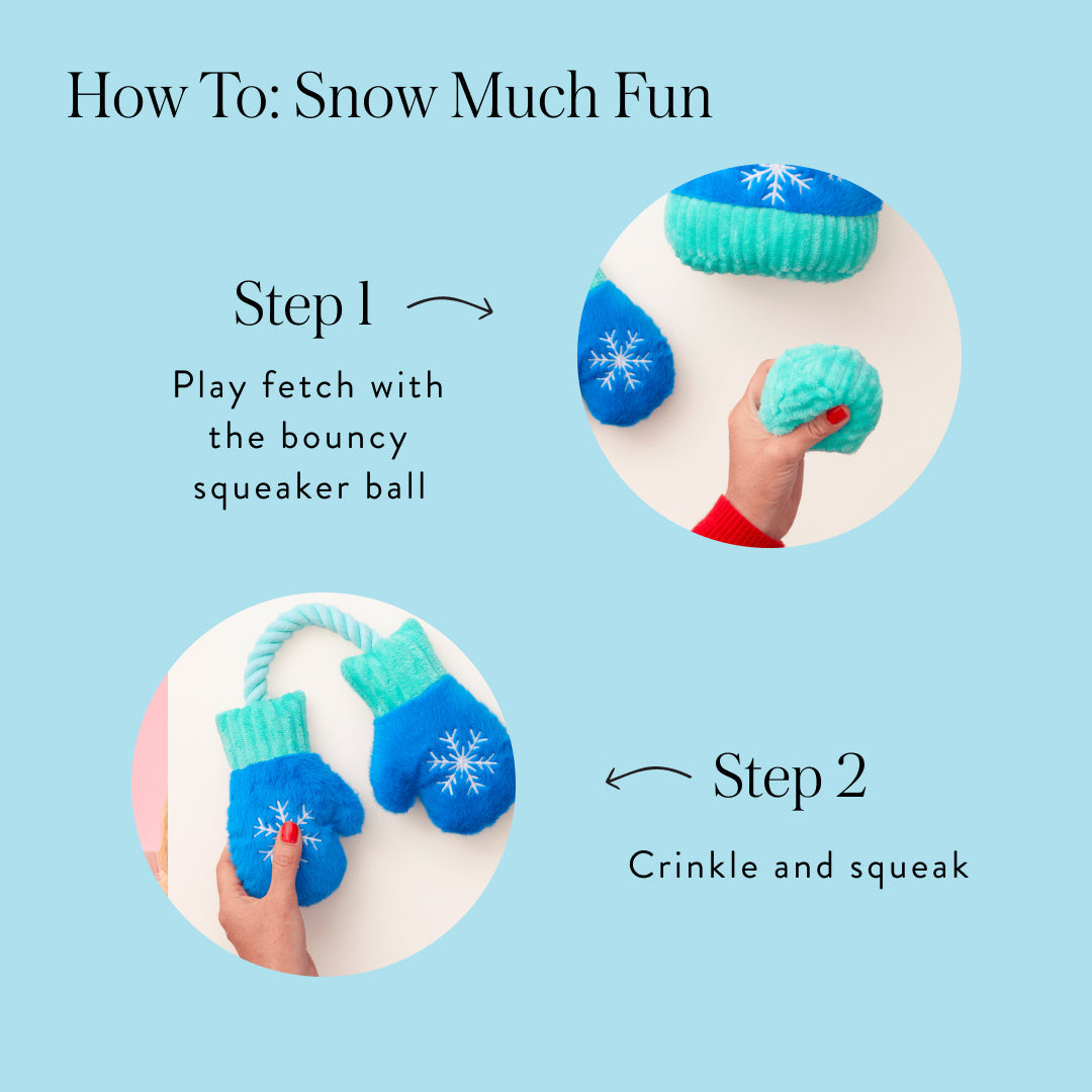 Snow Much Fun Interactive Snuffle Dog Toy Set