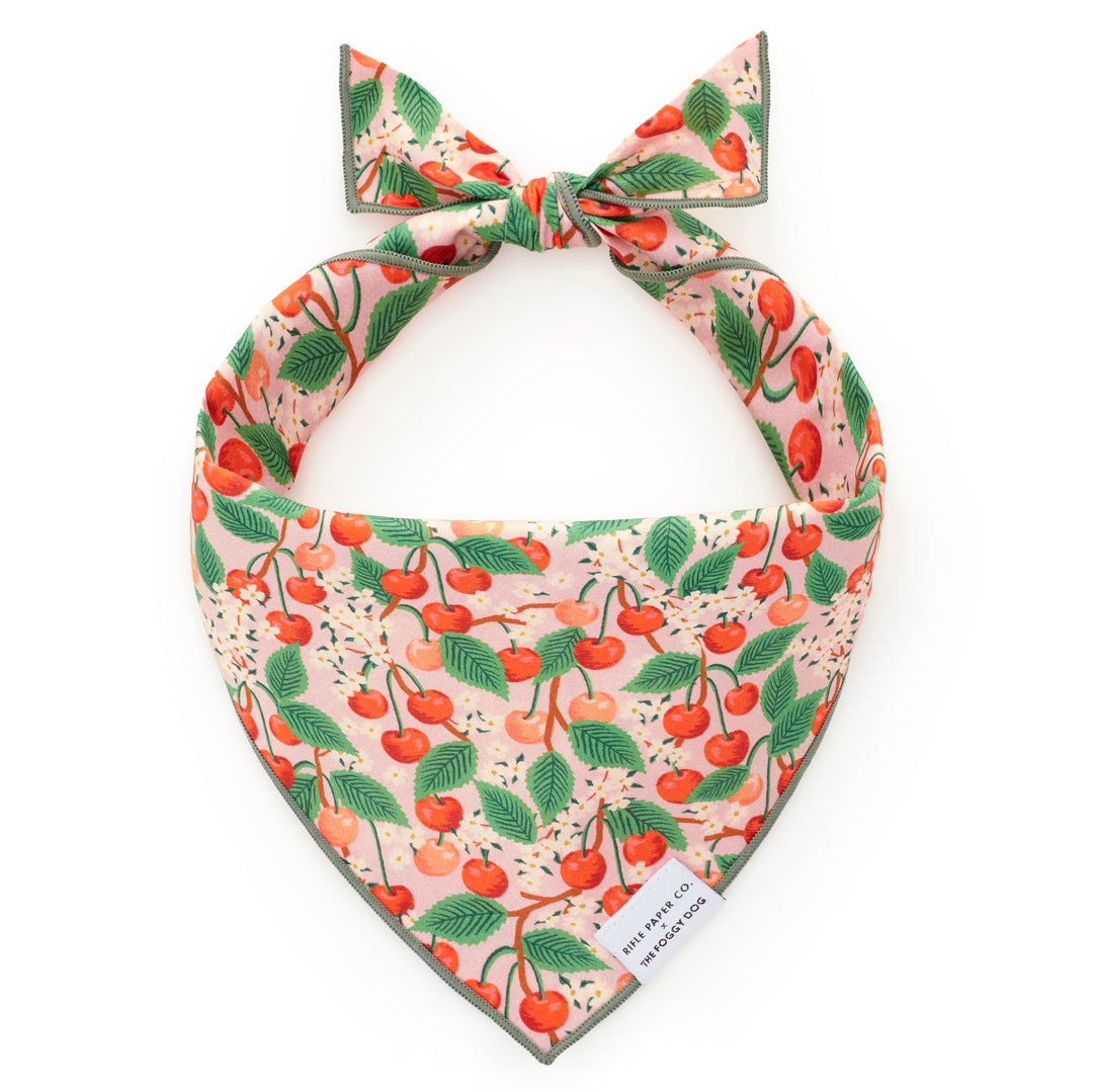 Rifle Paper Co. x TFD Cherry Blossom Spring Dog Bandana