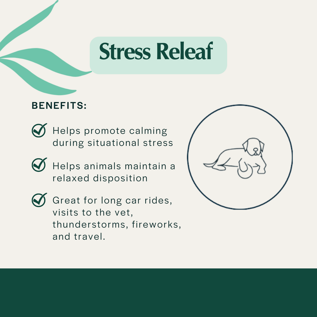 USDA Organic Stress Releaf CBD Oil