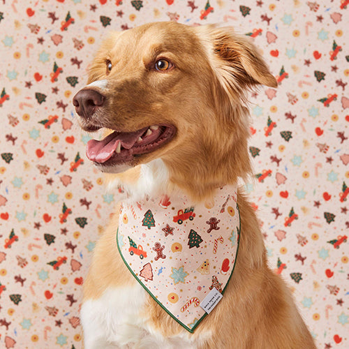 Rifle Paper Co. x TFD Holiday Cookies Bandana