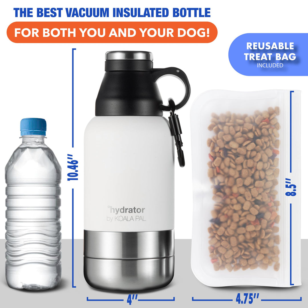 Travel Water Bottle & Bag (32 oz)