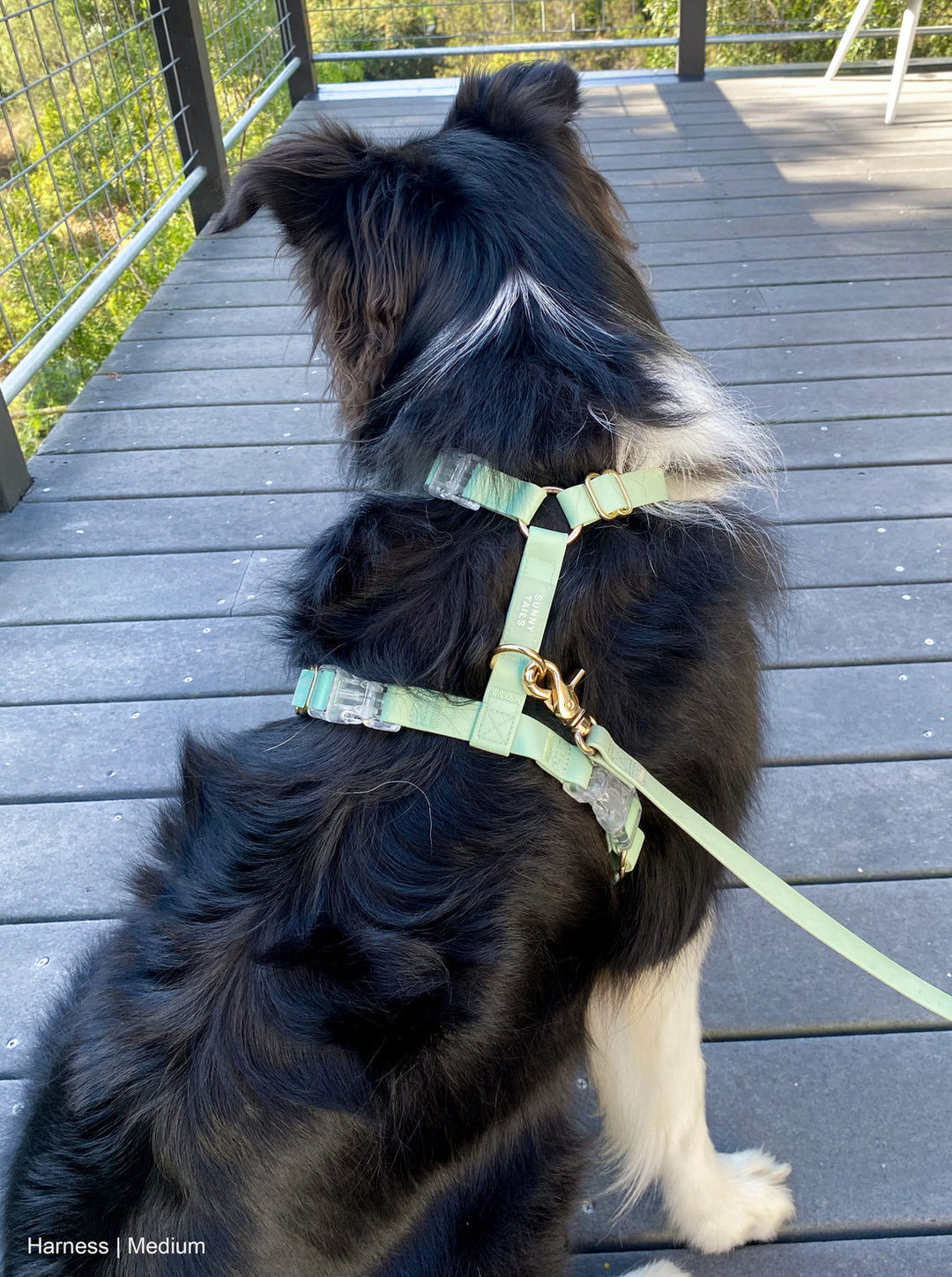 Cloud Lite Harness