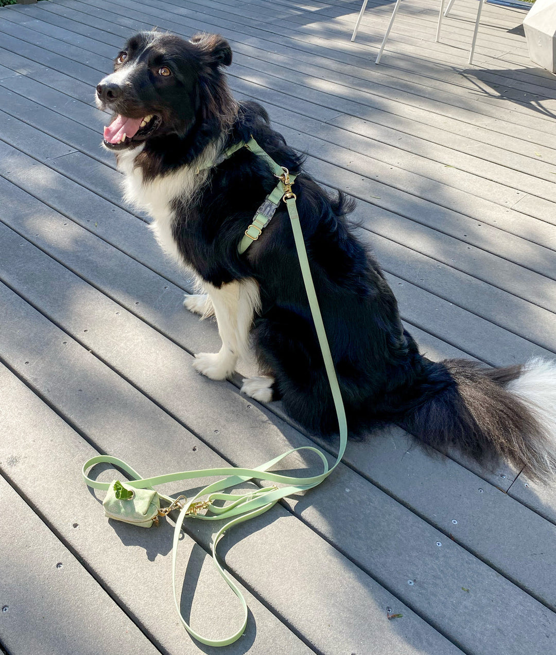 Cloud Lite Harness