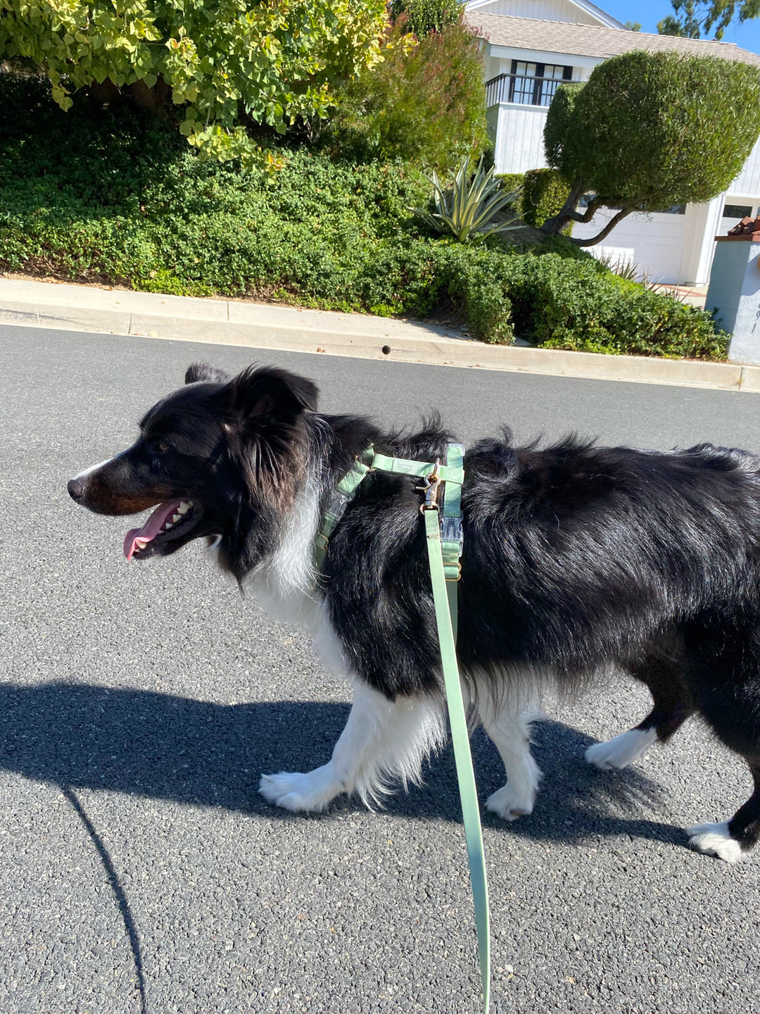 Cloud Lite Harness