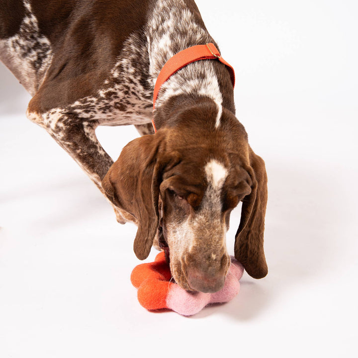 Wiggle Ring Felt Toy