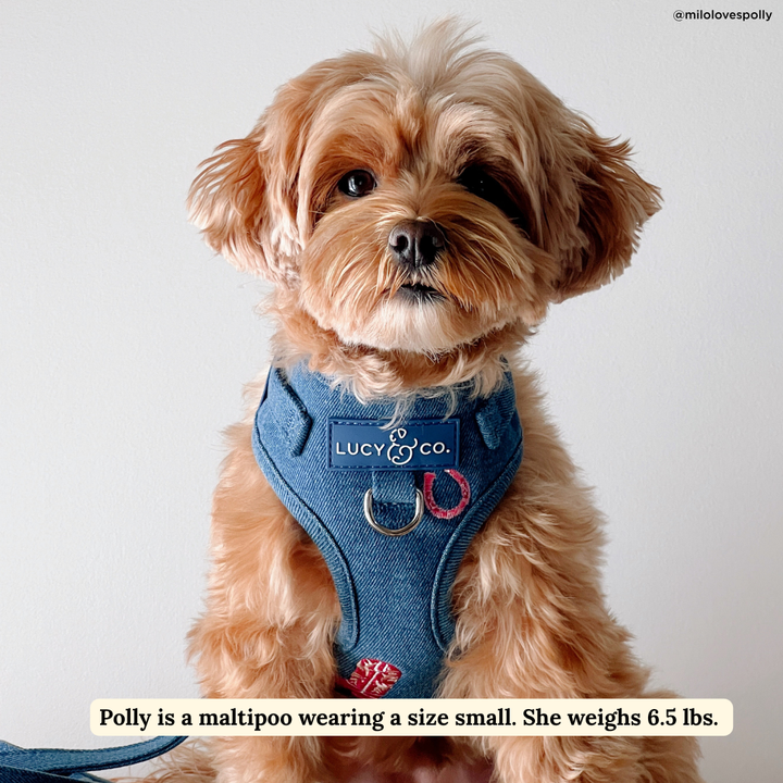 Cute to Boot No-Pull Harness