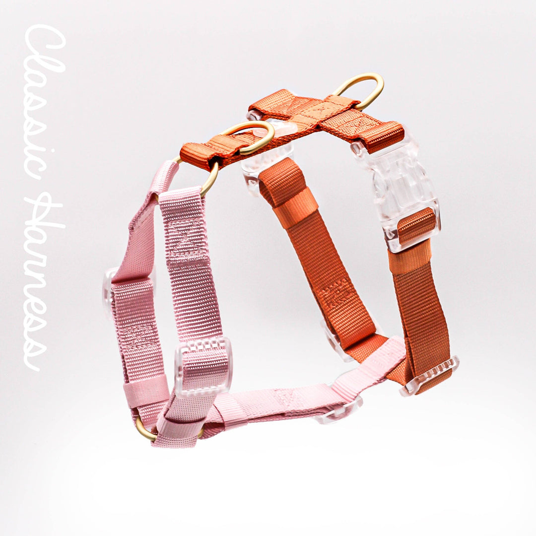 Classic Harness | Cloudberry