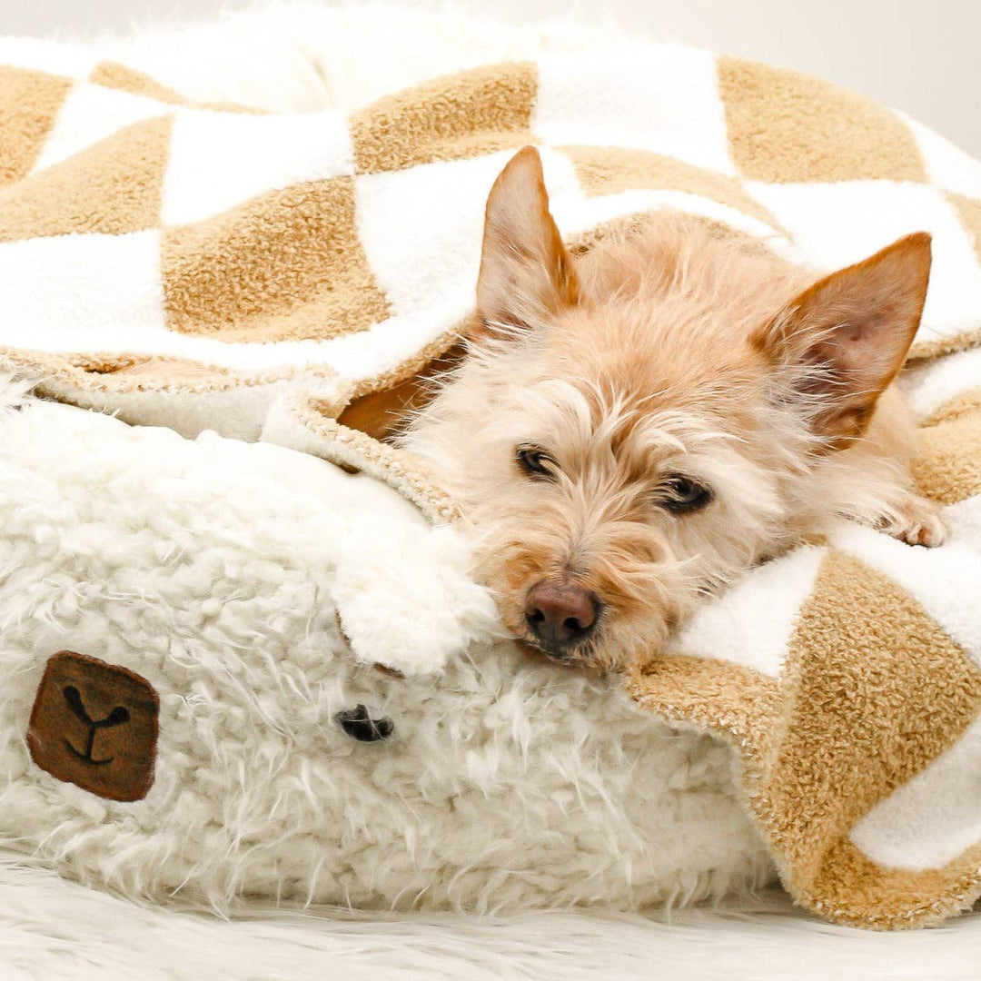 Mini Fluffy Blanket for Dogs Cats | Mocha