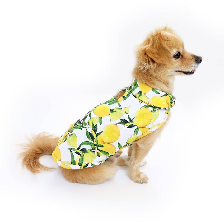 Lemon Cooling Shirt