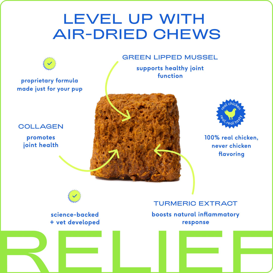 Relief Chews, Hip & Joint Supplement for Dogs