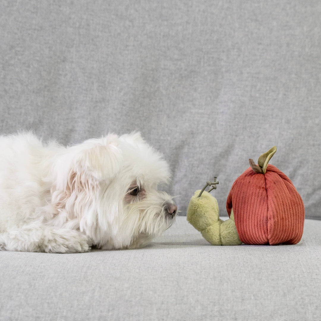 APPLE/ ENRICHMENT TOY SET// SNUFFLE TOY