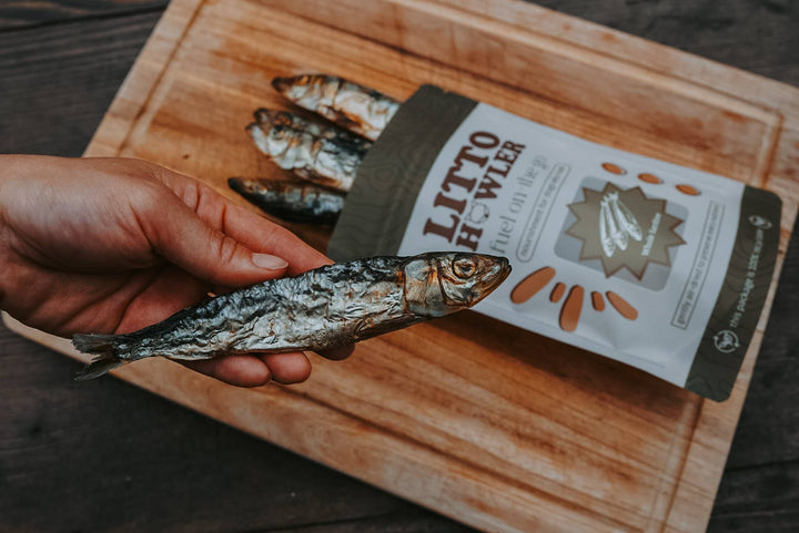 Whole Sardines | 12 Count